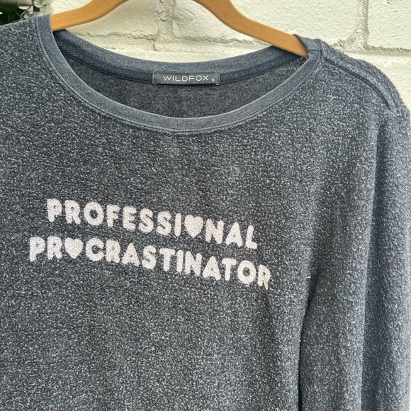 Wildfox Professional Procrastinator Jumper Sweatshirt Grey Size S - Picture 4 of 7